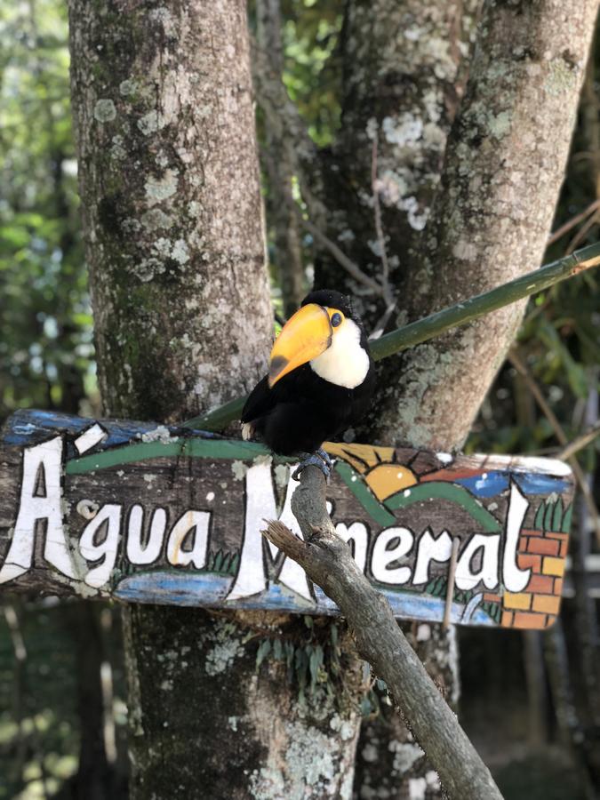 Hotel Fazenda Morro Pelado Águas de Lindóia Exterior foto